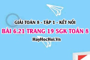 Bài 6.21 trang 19 Toán 8 Tập 2 Kết nối tri thức